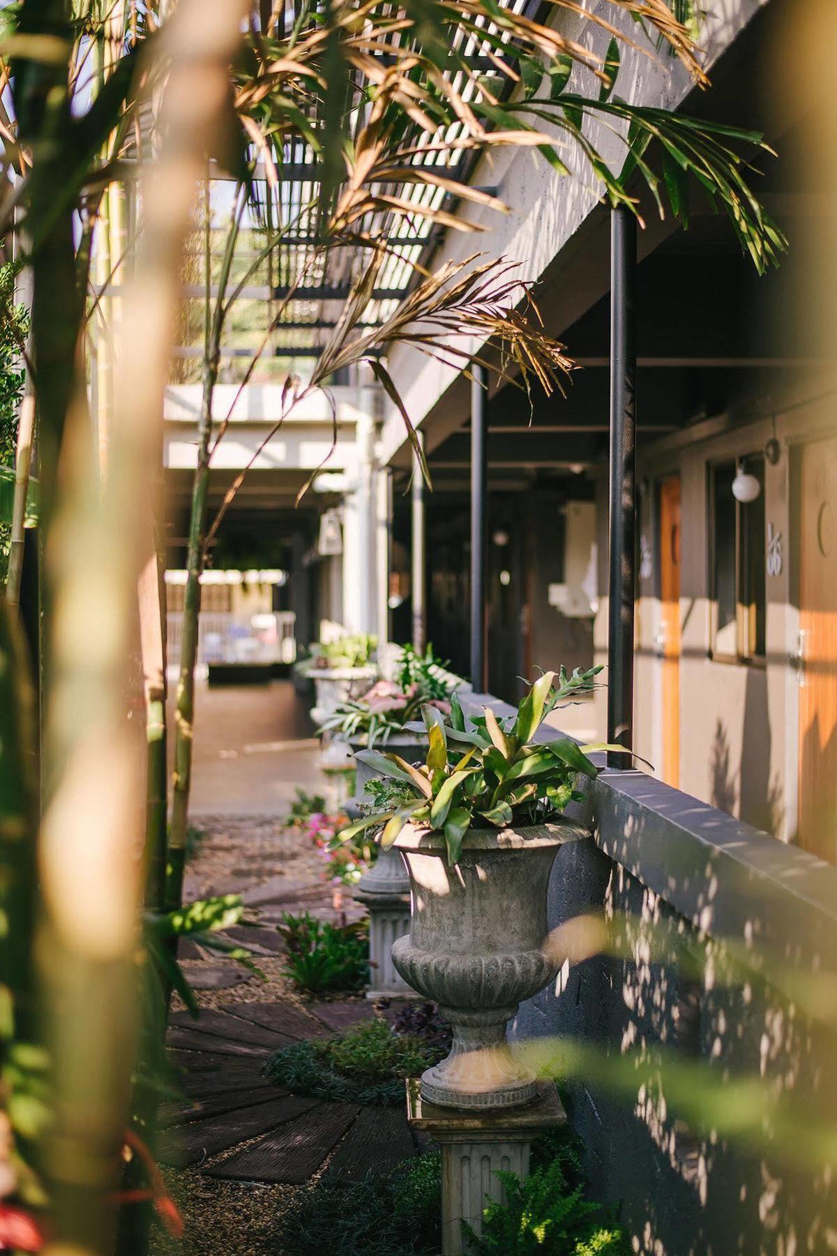 Cozy Inn Chiang Mai Dış mekan fotoğraf